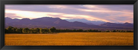 Framed Bosque Del Apache National Wildlife Refuge, New Mexico Print