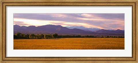 Framed Bosque Del Apache National Wildlife Refuge, New Mexico Print
