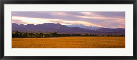 Framed Bosque Del Apache National Wildlife Refuge, New Mexico Print