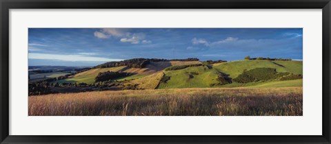 Framed Landscape, Scottish Borders, Scotland Print