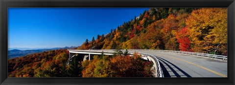 Framed Linn Cove Viaduct, NC Print