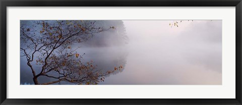 Framed Lake Vesuvius, Wayne National Forest, Ohio, Print