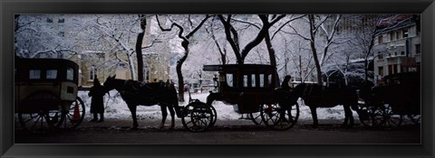 Framed Horse Drawn Carriages, Chicago, Illinois Print