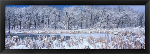 Framed Winter in Illinois Print