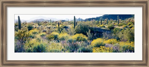 Framed Desert AZ Print