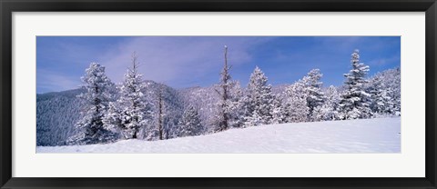 Framed Snow Covered Landscape, Colorado Print