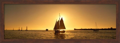 Framed Sailboat in Key West, Florida Print