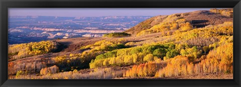 Framed Aspens Dixie National Forest, Utah Print