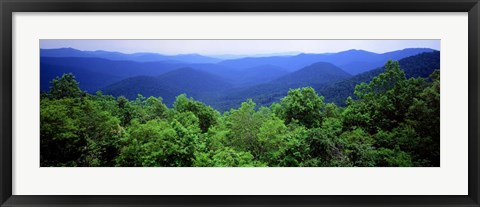 Framed Smoky Mountain National Park, Tennessee Print