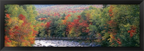 Framed White Mountain National Forest, NH Print