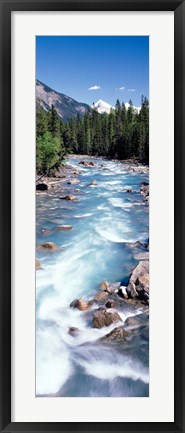 Framed Yoho River, British Columbia, Canada Print