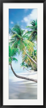 Framed Pigeon Point, Tobago Print