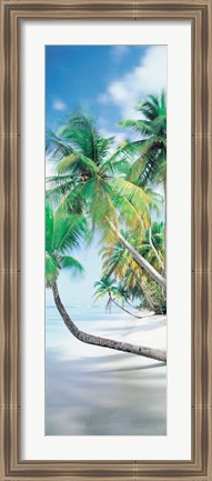 Framed Pigeon Point, Tobago Print