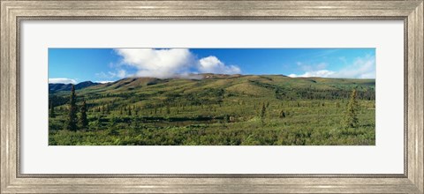 Framed Denali National Park, Alaska Print