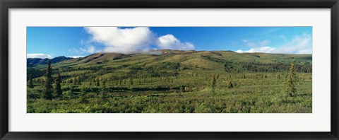 Framed Denali National Park, Alaska Print