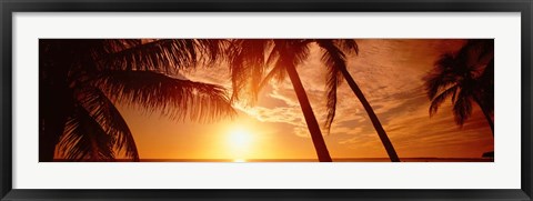 Framed Fort Meyers Florida Sunset Print