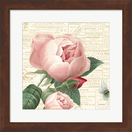 Framed Roses in Paris V Print