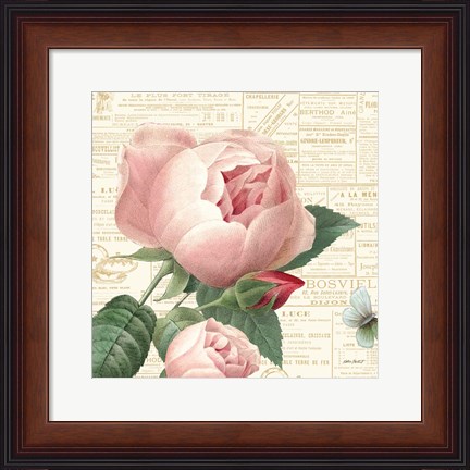 Framed Roses in Paris V Print