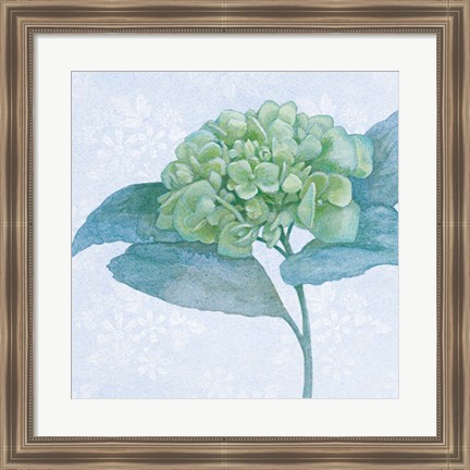 Framed Blue Hydrangea II Crop Print