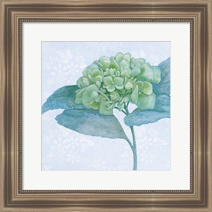 Framed Blue Hydrangea II Crop Print