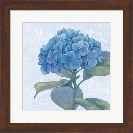 Framed Blue Hydrangea IV Crop Print