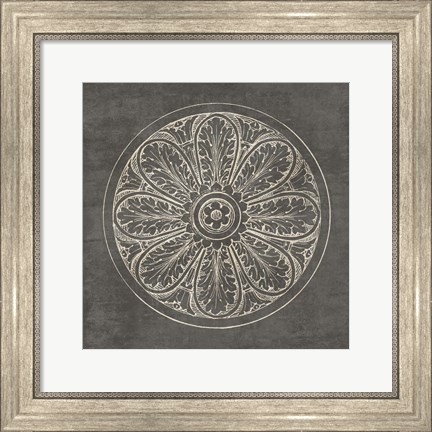 Framed Rosette VIII Gray Print