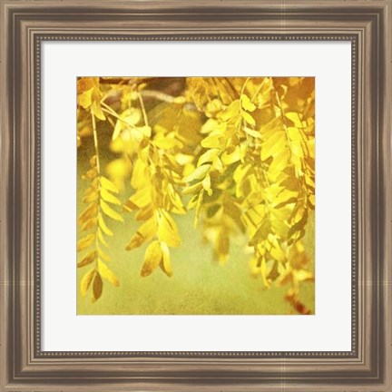 Framed Autumn Photography I Print