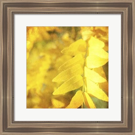 Framed Autumn Photography III Print