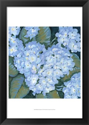 Framed Blue Hydrangeas II Print