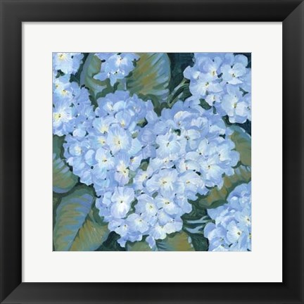 Framed Blue Hydrangeas II Print