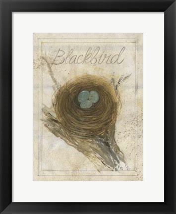 Framed Nest - Blackbird Print