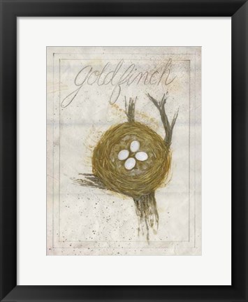 Framed Nest - Goldfinch Print