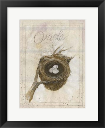 Framed Nest - Oriole Print