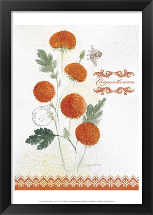 Framed Flower Study on Lace IV Print