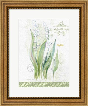 Framed Flower Study on Lace IX Print