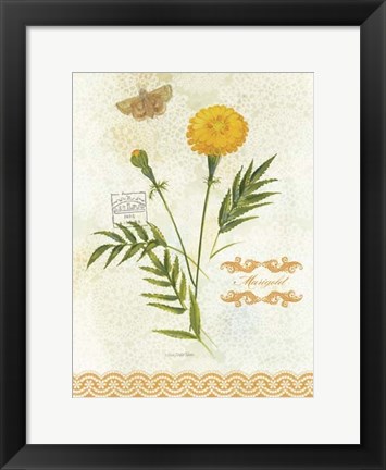 Framed Flower Study on Lace XI Print