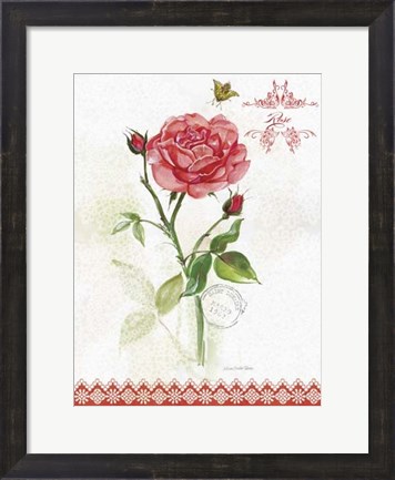 Framed Flower Study on Lace XIII Print