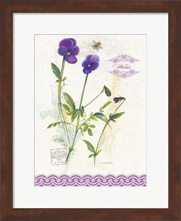 Framed Flower Study on Lace XIV Print