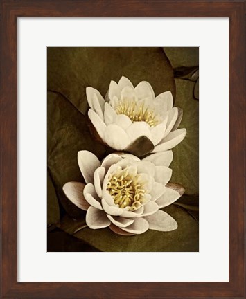 Framed Lily Pad Duo Print