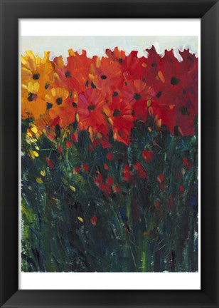 Framed Color Spectrum Flowers I Print