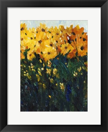 Framed Color Spectrum Flowers II Print