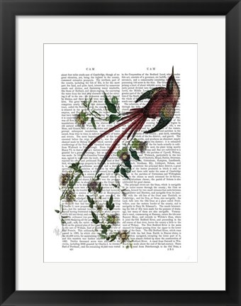 Framed Passion Flower Bird Print