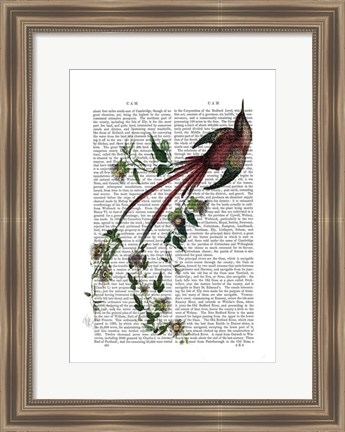 Framed Passion Flower Bird Print