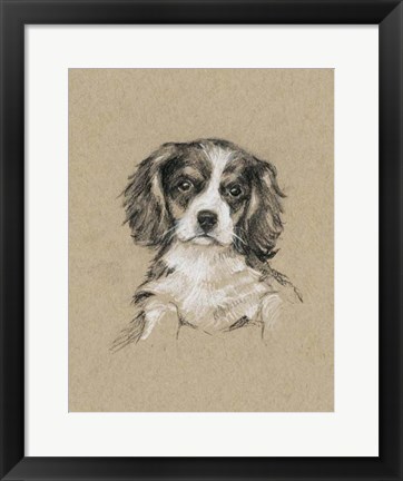 Framed Breed Sketches III Print