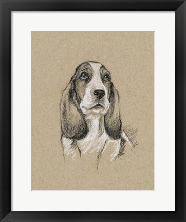 Framed Breed Sketches VI Print