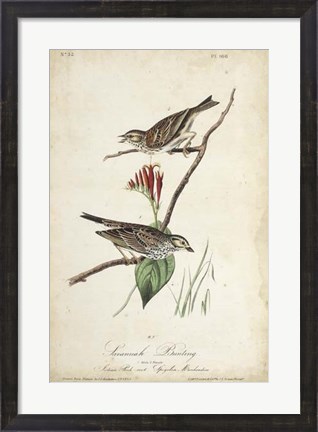 Framed Delicate Bird and Botanical III Print