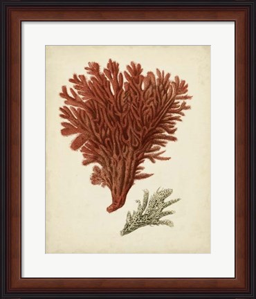 Framed Antique Red Coral V Print