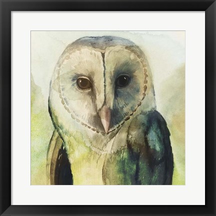 Framed Harlequin Hibou I Print