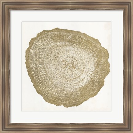 Framed Tree Ring IV Print