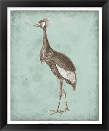 Framed Sepia &amp; Spa Heron II Print